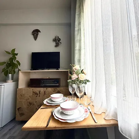 Kaleici Muhtesem Konum Deniz Yakini 1+0 Oezel Ev